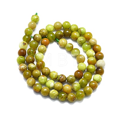 Natural Green Opal Beads Strands G-K245-A17-A02-1