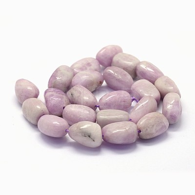 Natural Kunzite Beads Strands G-K285-15A-1