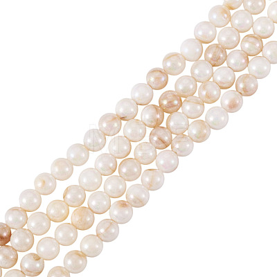 2 Strands AB Color Natural Freshwater Shell Beads Strands BSHE-TA0001-40-1