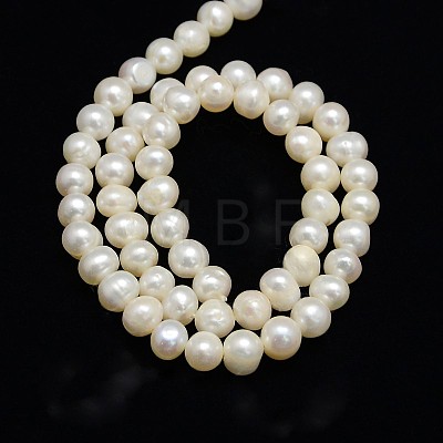 Natural Cultured Freshwater Pearl Beads Strands X-PEAR-L001-E-13-1