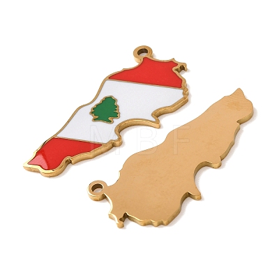 304 Stainless Steel & Enamel Pendants SA-CBA6ECE-01D-G-1
