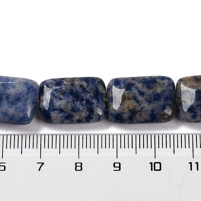 Natural Blue Spot Jasper Beads Strands G-T047-B10-01-1