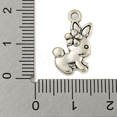 Tibetan style Alloy Pendants FIND-Z058-01AS-04-1