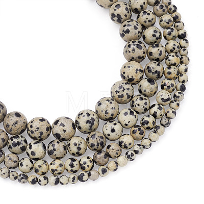Yilisi 4 Strands 4 Style Natural Dalmatian Jasper Beads Strands G-YS0001-06-1