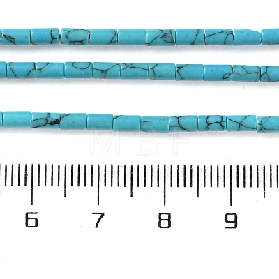 Dyed Synthetic Turquoise Beads Strands G-B124-A03-01-1