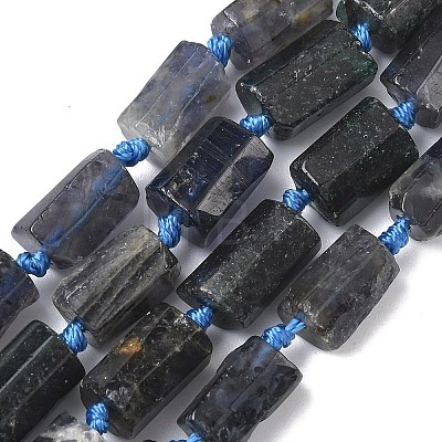 Natural Iolite Beads Strands G-C270-K06-1
