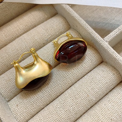 Alloy & Resin Hoop Earrings WGFA774-01-1