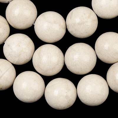 Natural Petrified Wood Beads Strands G-L648-A03-16mm-01-1