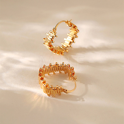Brass Hoop Earrings for Women WGB6F4D-01-1