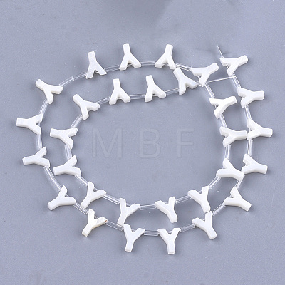 Natural Freshwater Shell Beads SHEL-T012-59Y-1