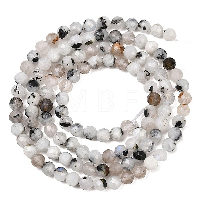 Natural Rainbow Moonstone Beads Strands G-B175-D24-3mm-1