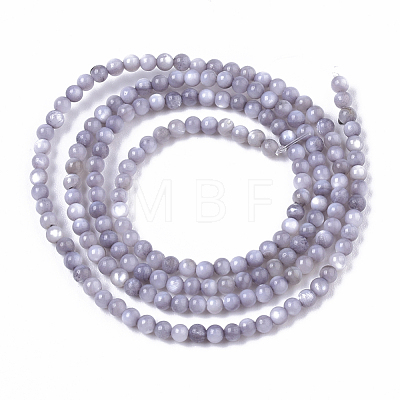 Natural Freshwater Shell Beads Strands BSHE-T009-01A-1
