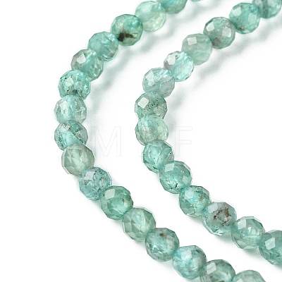 Natural Apatite Beads Strands G-F748-J01-02-1