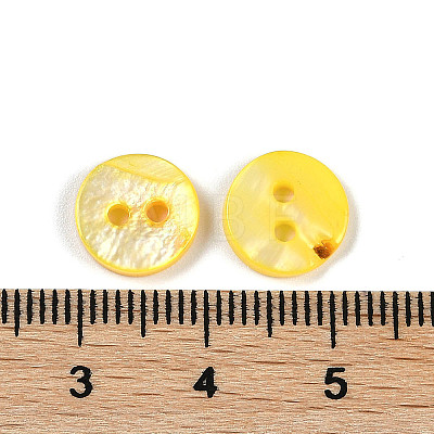 Freshwater Shell Buttons SHEL-C005-01C-10-1