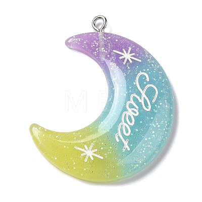 Gradient Color Translucent Resin Pendants FIND-Z006-03A-1