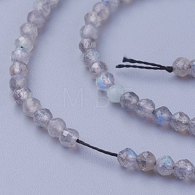 Natural Labradorite Beads Strands X-G-F619-15-3mm-1