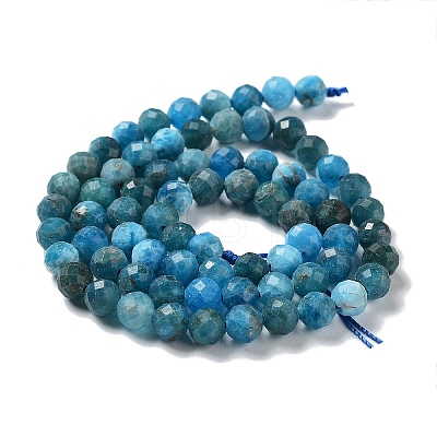 Natural Apatite Beads Strands G-J400-E01-04-1