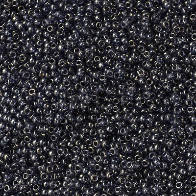 MIYUKI Round Rocailles Beads X-SEED-G007-RR2447-1