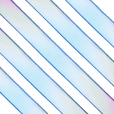 2 Rolls Polyester Mesh Ribbons SRIB-TA0003-42A-1