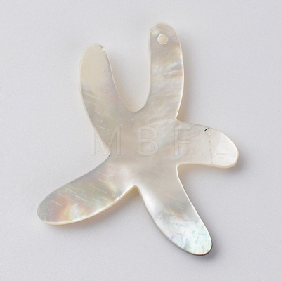 Sea Shell Pendants SSHEL-Q297-56-1