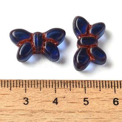 Transparent Lampwork Beads LAMP-P065-02A-17-1