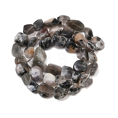 Natural Moonstone Beads Strands G-A284-A01-01-1
