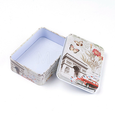 Mini Cute Tinplate Storage Box CON-WH0061-A05-1