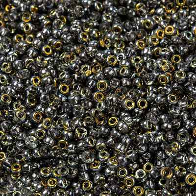 MIYUKI Round Rocailles Beads X-SEED-G008-RR4551-1
