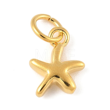 925 Sterling Silver Starfish Charms with Jump Rings STER-R013-01G-1