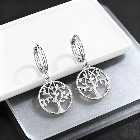 304 Stainless Steel Hoop Dangle Earrings for Women WG02B39-02-1
