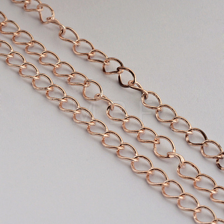 Iron Twisted Chains CH-1.0DK-RG-1