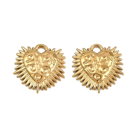 304 Stainless Steel Charms STAS-L317-37G-1