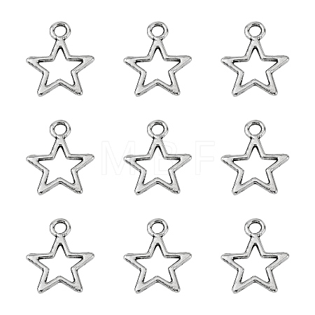 Tibetan Style Alloy Charms LS-K0PGH021-1