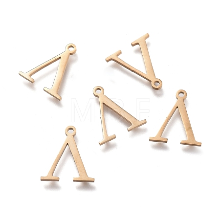 304 Stainless Steel Charms STAS-L263-10G-1