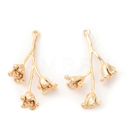 Brass Pendants KK-G468-53G-1
