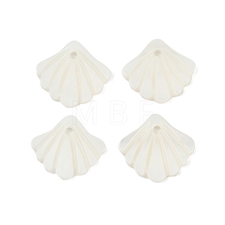 Natural Freshwater Shell Charms SHEL-K006-45A-1