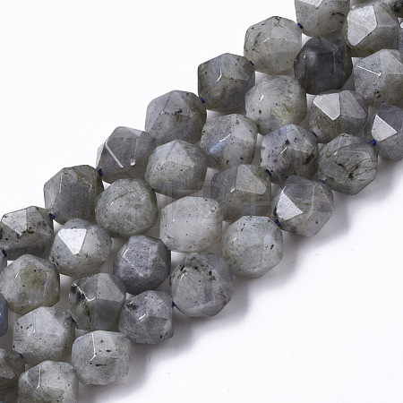 Natural Labradorite Beads Strands G-R465-33C-1