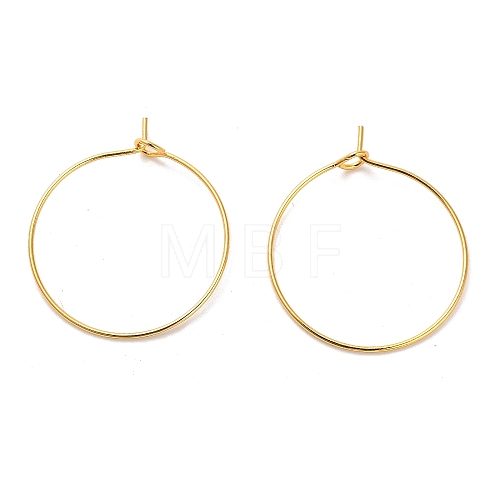 Iron Earring Findings IFIN-R211-01G-1