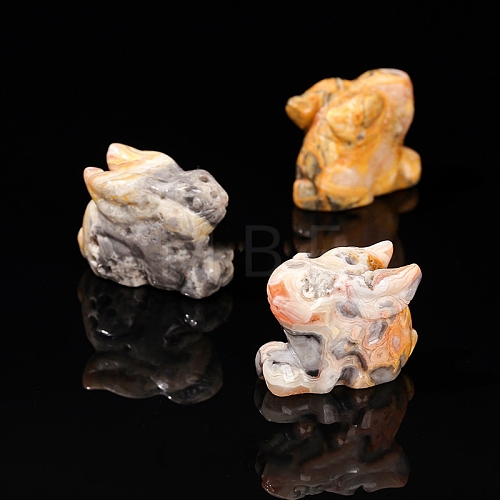 Natural Crazy Agate Display Decorations PW-WG14A90-43-1