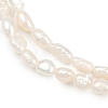 Natural Cultured Freshwater Pearl Beads Strands PEAR-P064-20F-02A-4