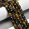 Natural Agate Beads Strands G-B079-E01-01C-2