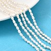 Natural Cultured Freshwater Pearl Beads Strands PEAR-I007-01O-01C-1