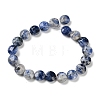 Natural Blue Spot Jasper Beads Strands G-K357-B14-01-3
