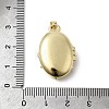 Brass Micro Pave Clear Cubic Zirconia Locket Pendants X-KK-L262-07G-3