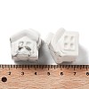 Natural Howlite Carved House Figurines DJEW-P015-01G-1-3