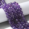 Natural Amethyst Beads Strands G-S031-1-5