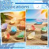 30Pcs 6 Styles Luminous Resin Conch Display Decorations DJEW-CJ0001-37-7