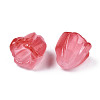 Transparent Acrylic Beads X-TACR-N006-75B-3