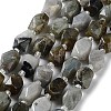 Natural Larvikite Beads Strands G-C182-17-01-1