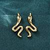 Snake Brass Micro Pave Cubic Zirconia Dangle Earrings EJEW-G425-04G-02-2